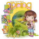 Jaya
