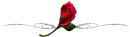 Rose divider