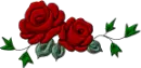 Red roses