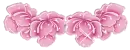 Pink roses
