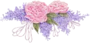 Pink roses