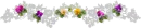 Flower divider