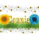 Connie -Sunflower