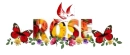 Rose