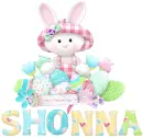 Shonna Quilted Bunny