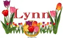 Lynn Tulip Garden