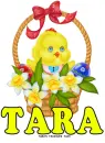 Tara Easter Basket Chick