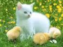 Easter Friends