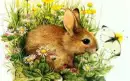 Easter Bunny