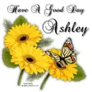 Good Day - Ashley