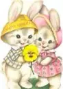 Bunny Love