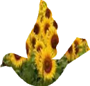 Sunflower Bird