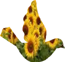 Sunflower Bird
