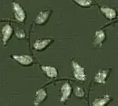 Leaves - background