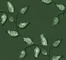 Leaves - background