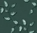 Leaves - background
