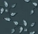 Leaves - background