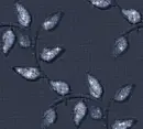 Leaves - background