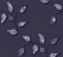 Leaves - background