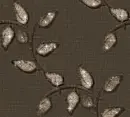 Leaves - background