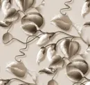 Vine - Background