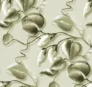 Vine - Background