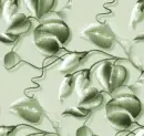 Vine - Background