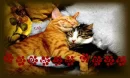Glad we`re friends