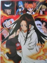 shaman king
