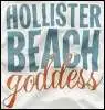 hollister icons