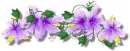 Flowers - div