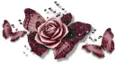 Flowers - div