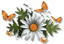 Flowers - div