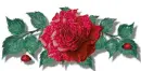 Flowers - div