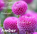 Your Graphic Amazes Me, Spring Theme