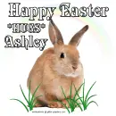 Easter - Ashley