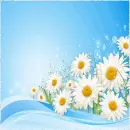 Spring Flower