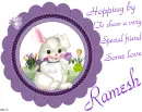 Ramesh -Hopping by...