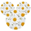 Daisy Mouse