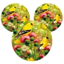 Nature Mouse