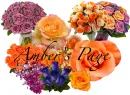 Amber's Page