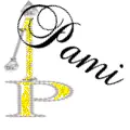 PAMI
