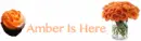 Amber Is Here/Online