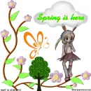 spring