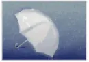 Umbrella