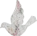 Lacey Bird