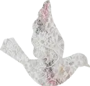 Lacey Bird