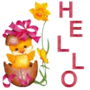 HELLO