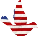 American Bird