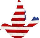 American Bird